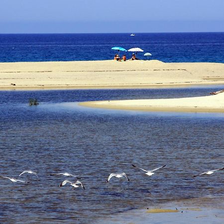 Residenza L 'Alivetu Aparthotel Cargese Bagian luar foto