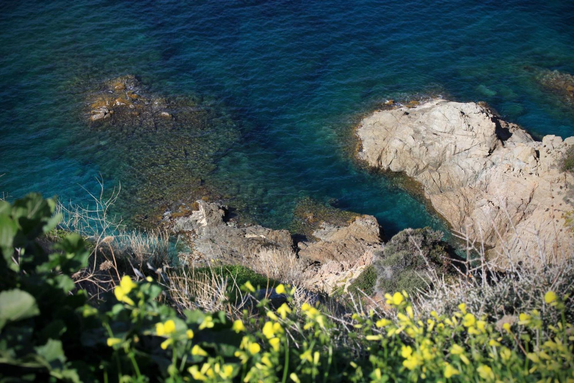 Residenza L 'Alivetu Aparthotel Cargese Bagian luar foto