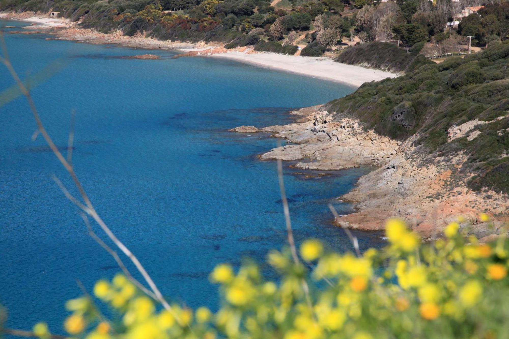 Residenza L 'Alivetu Aparthotel Cargese Bagian luar foto